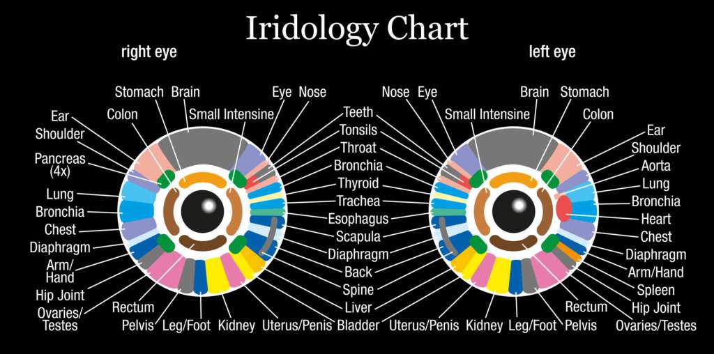 mapa-irydologiczna-irydologia.jpg