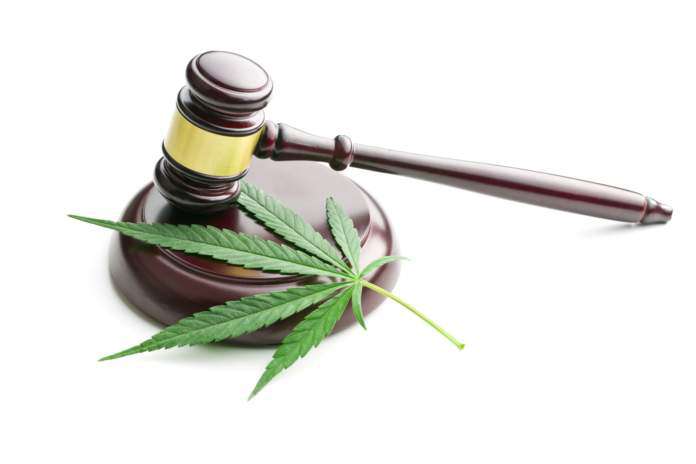 marihuana-delegalizacja Marihuana - delegalizacja