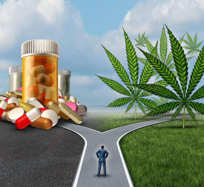 marihuana-historia-oraz-lecznicze-wlasciwosci Marihuana, lecznicze właściwości
