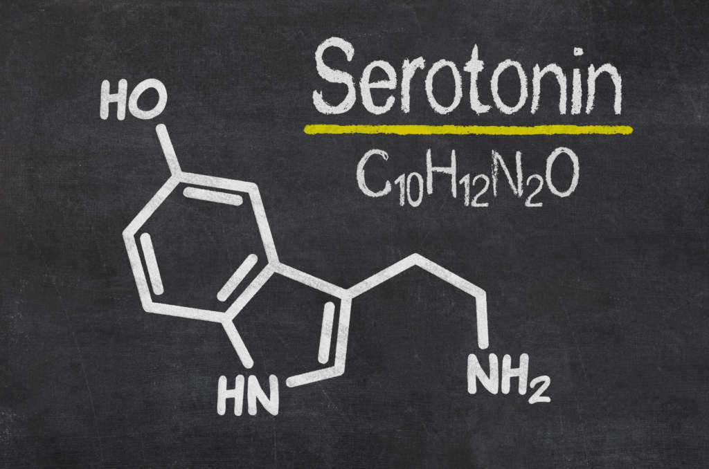 szyszynka-serotonina.jpg