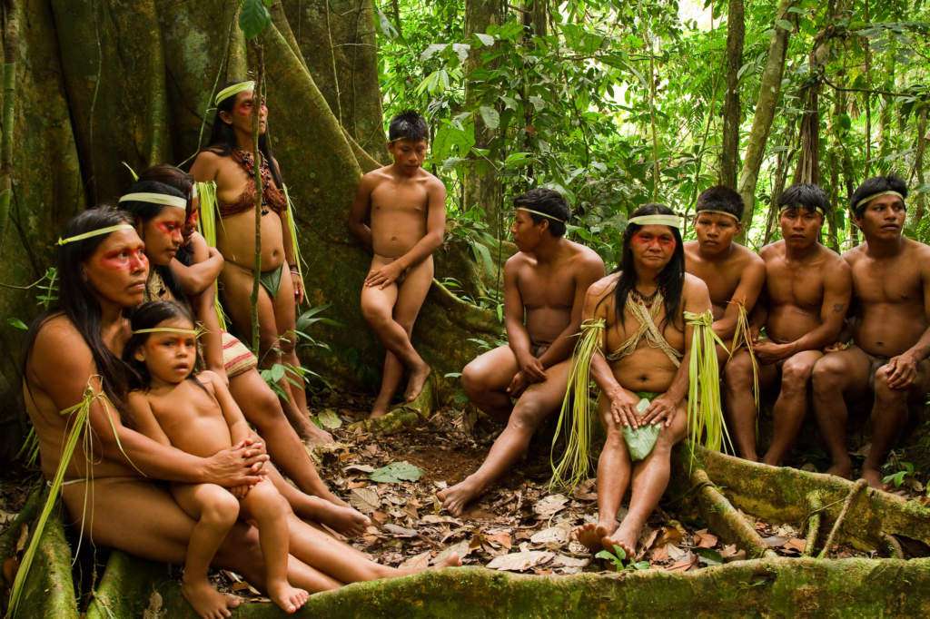 kambo-amazonia.jpg