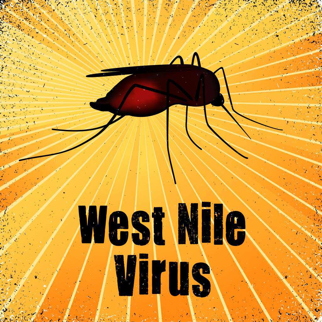 Wirus-Zachodniego-Nilu.jpg