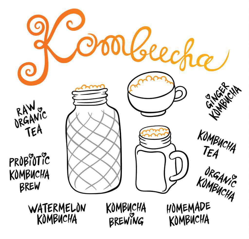 kombucha.jpg