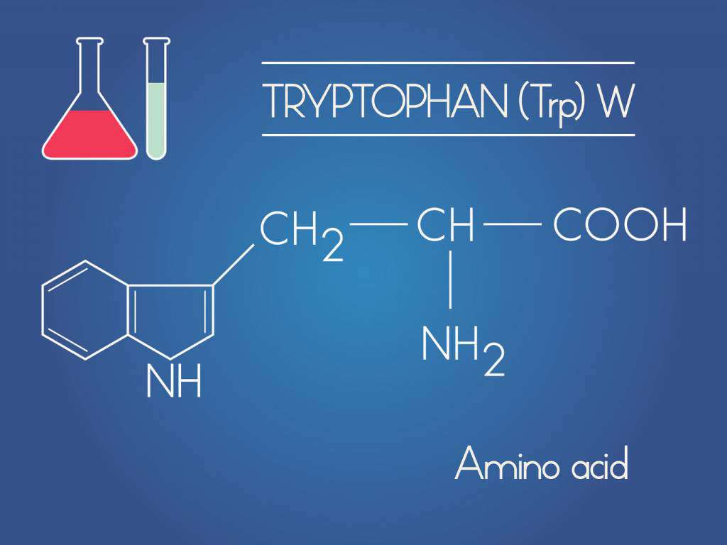 tryptofan.jpg