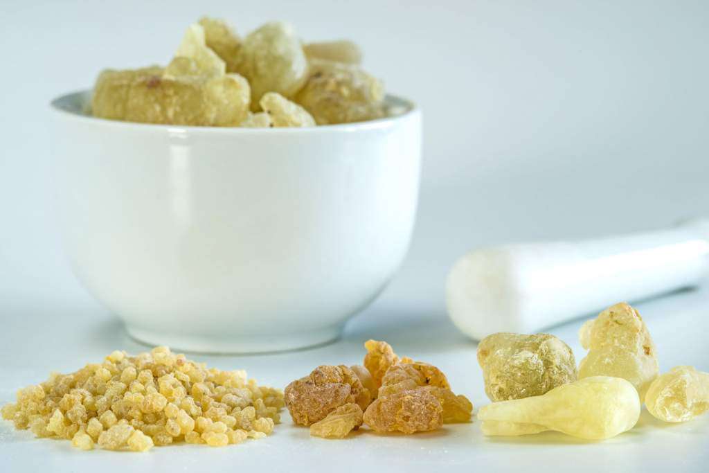 Boswellia-serrata.jpg