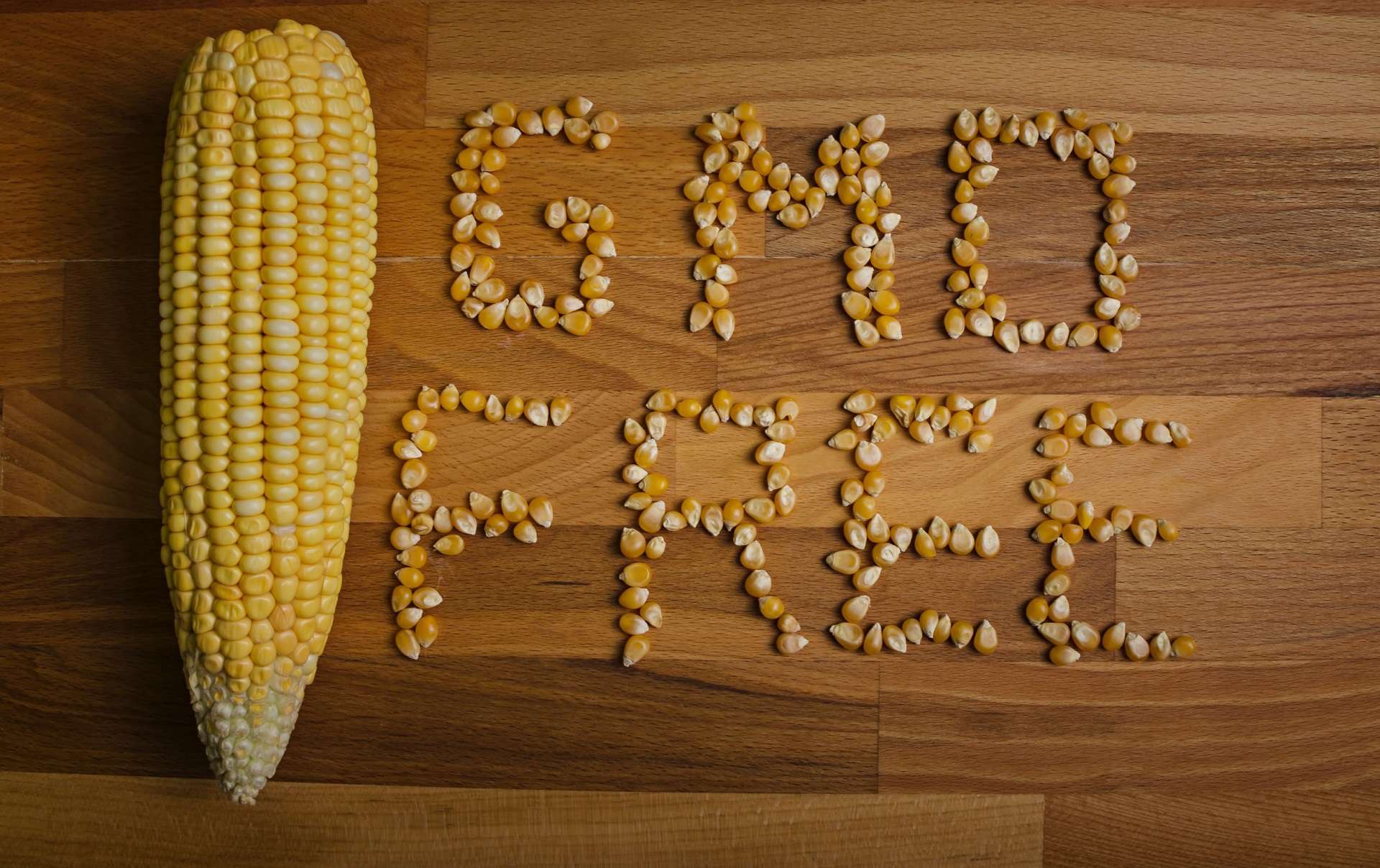 NIE DAJ SIĘ ZMODYFIKOWAĆ, CZYLI ROZPOZNAJ GMO W POLSCE