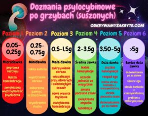 Tabela działania psylocybiny