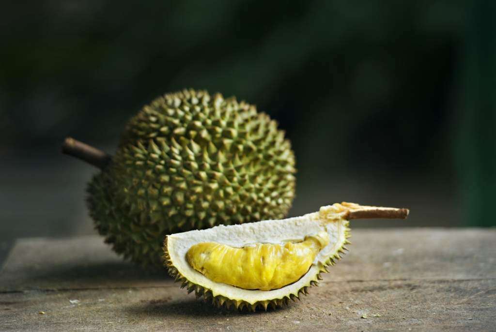 durian.jpg