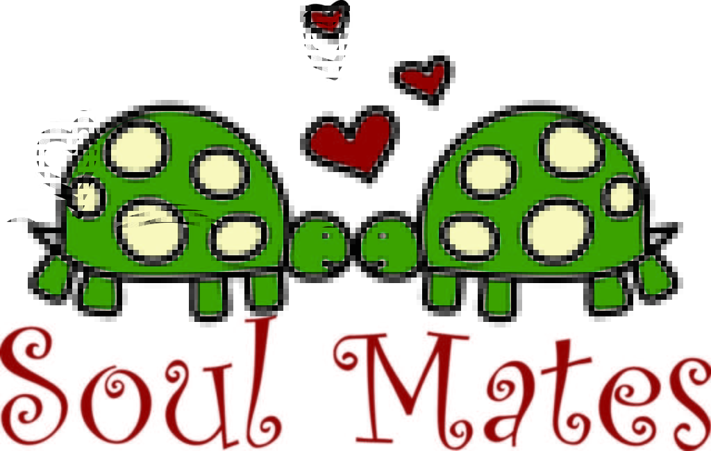 turttle-bliźniacze-dusze.jpg
