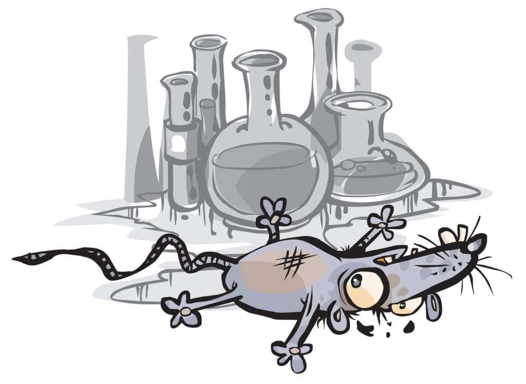 mysz-laboratoryjna.jpg