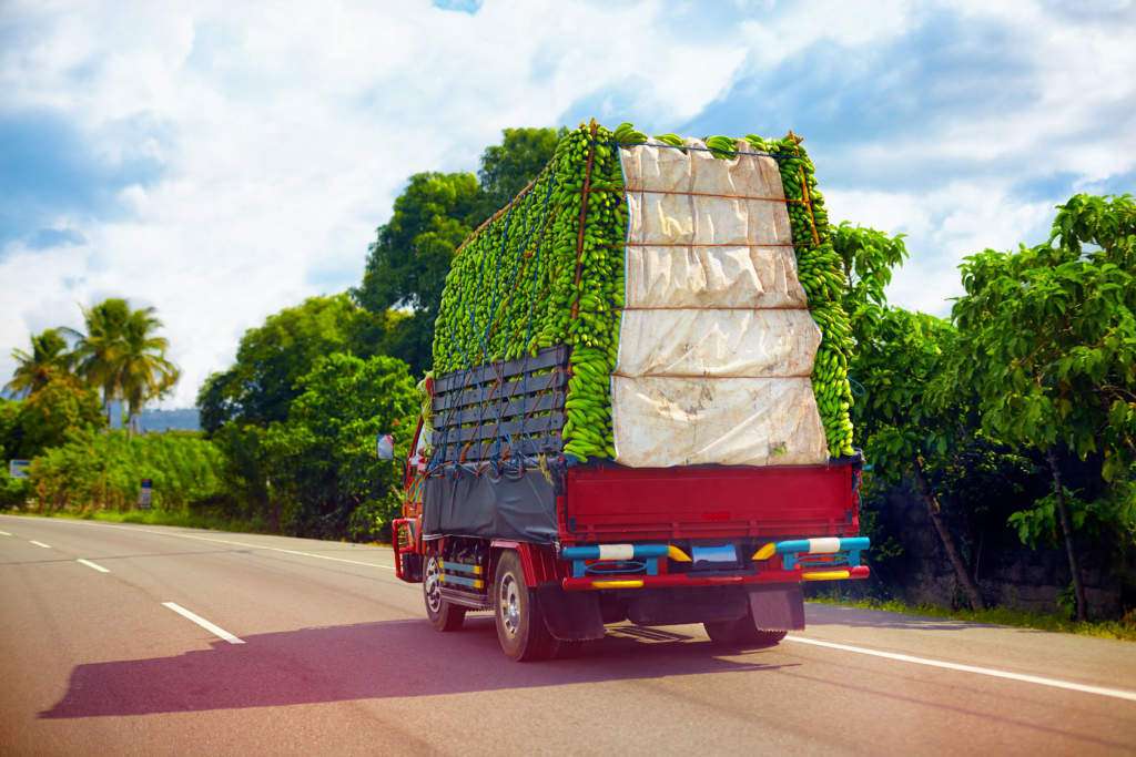 transport-bananów.jpg