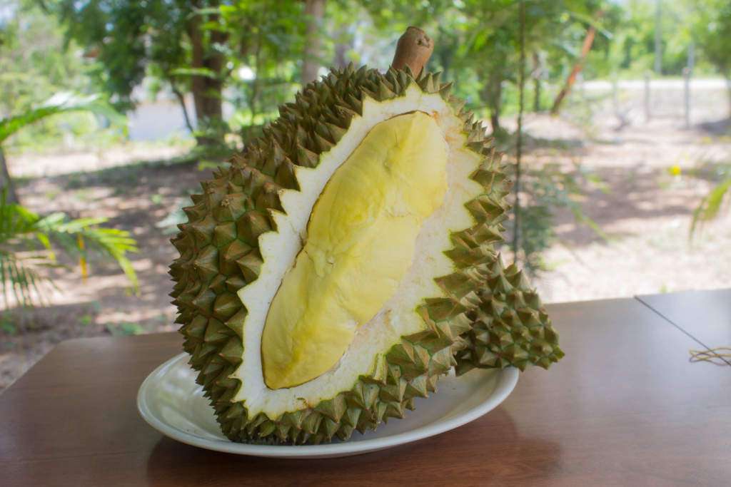 durian.jpg