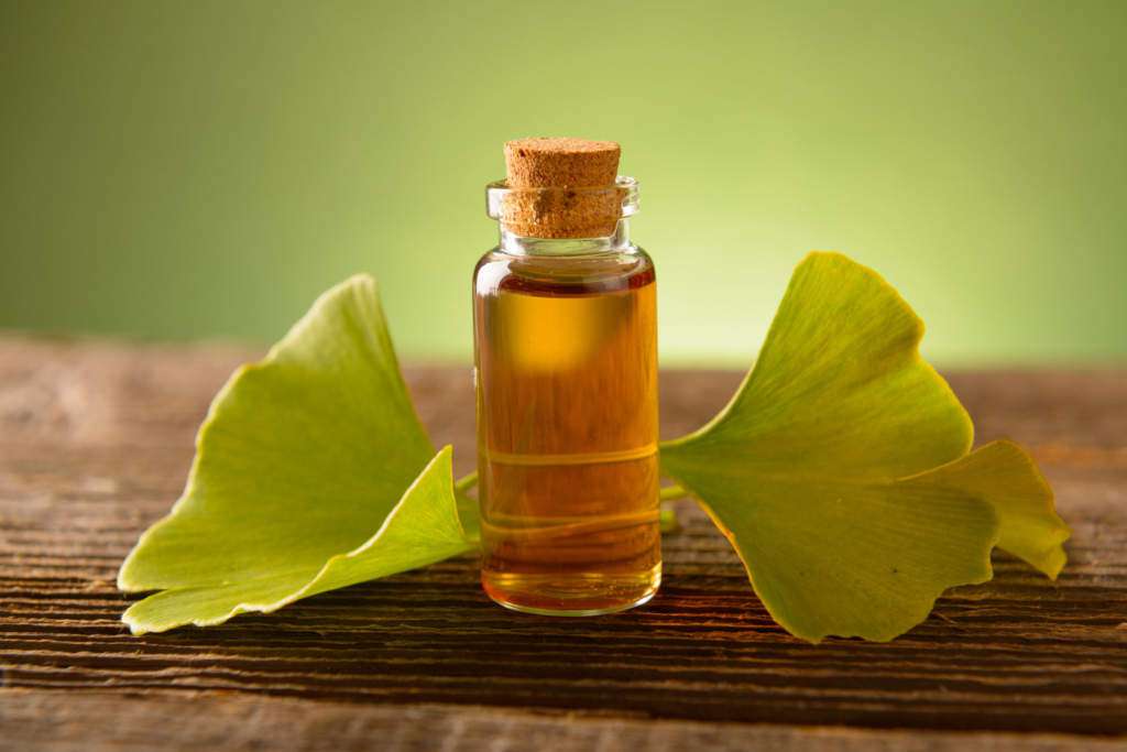 gingko-biloba.jpg