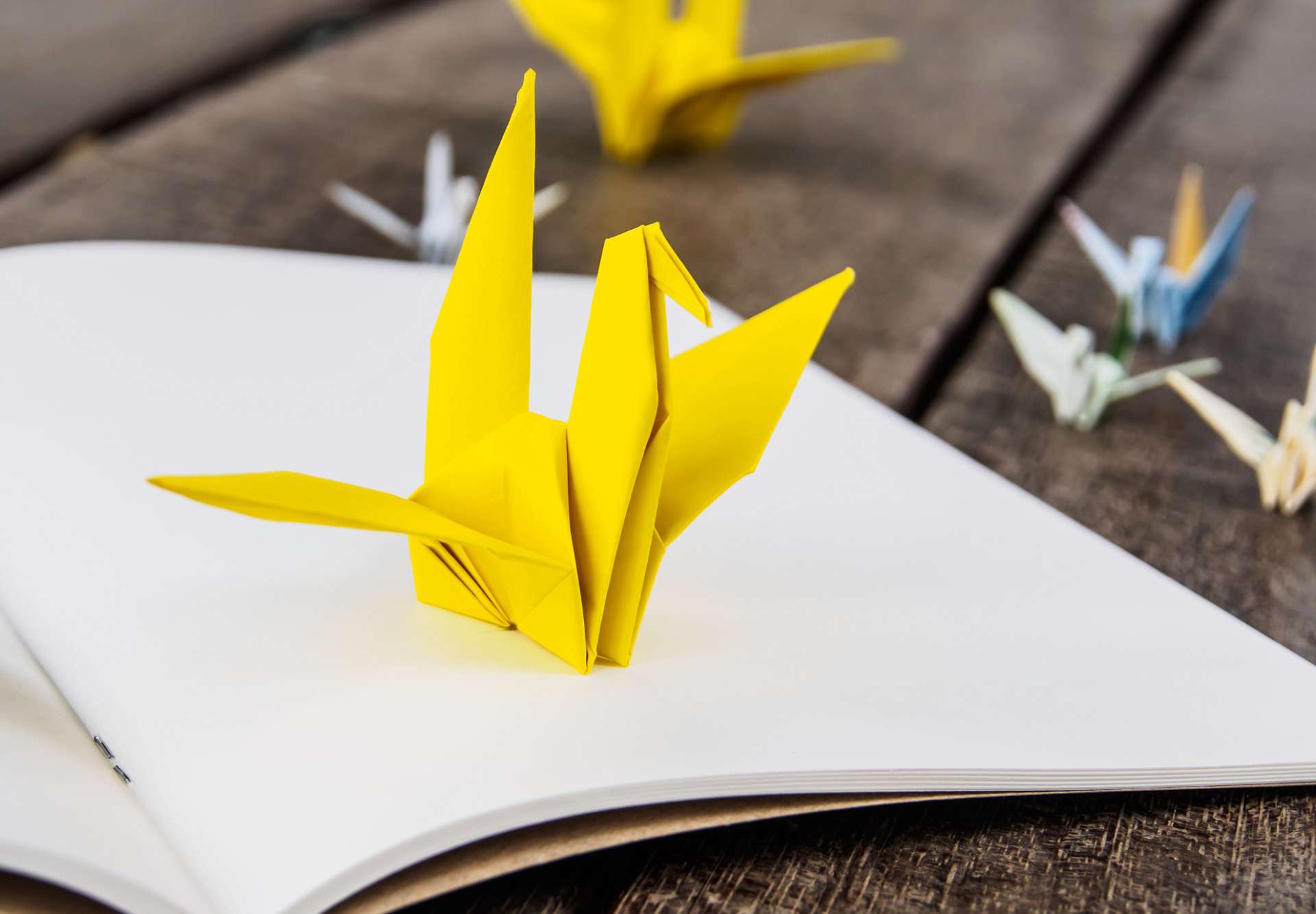 ORIGAMI – CO MOŻNA WYCZAROWAĆ PRZY UŻYCIU PAPIERU?