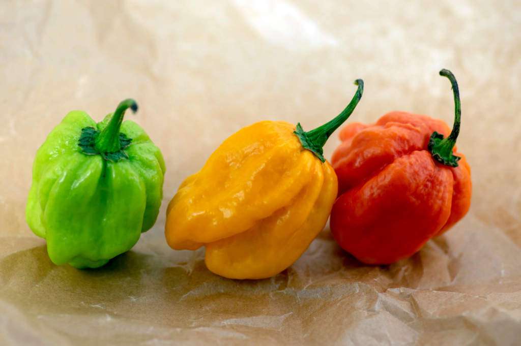 habanero.jpg