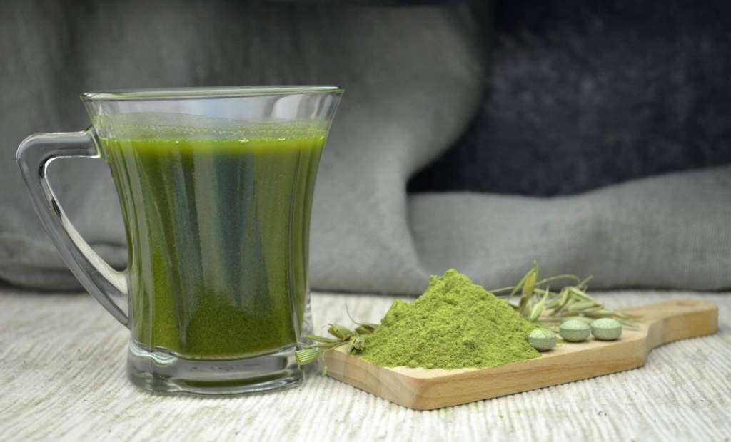 chlorella.jpg