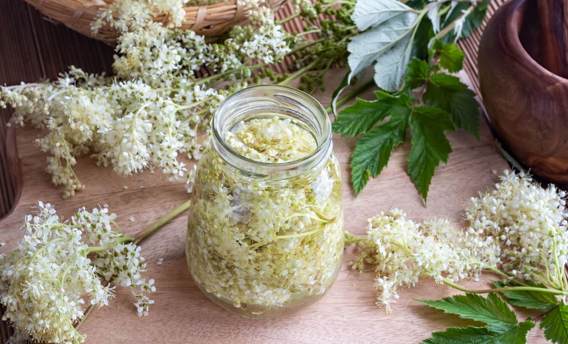 Масло таволги применение. Масло лабазника. Настой лабазника и календулы. Масляный экстракт лабазника. Масло из таволги.