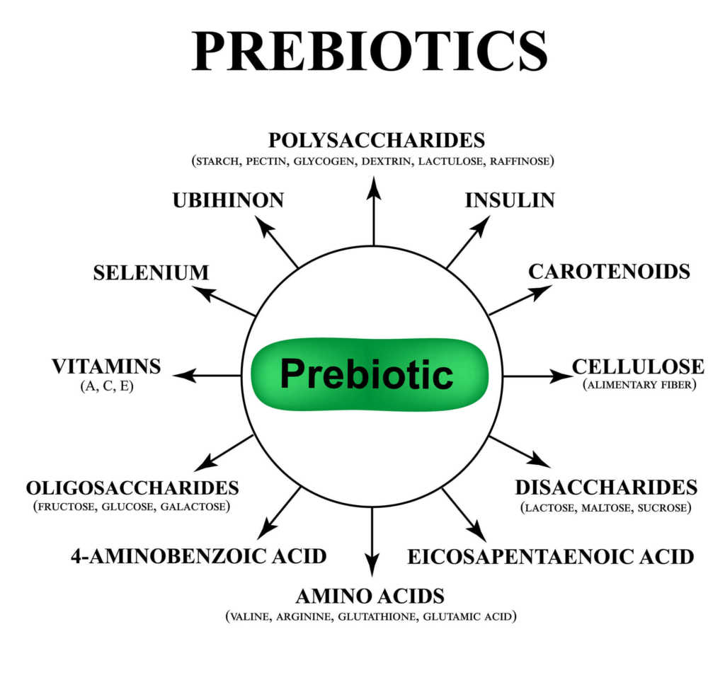 prebiotyki.jpg