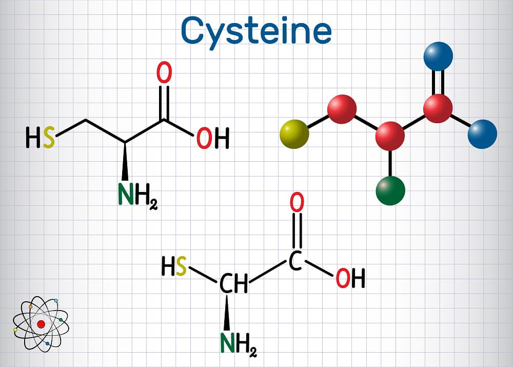 l-cysteina.jpg