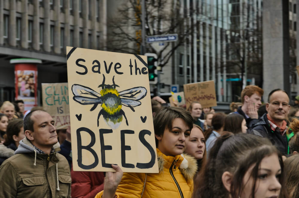 protest-pszczoły.jpg