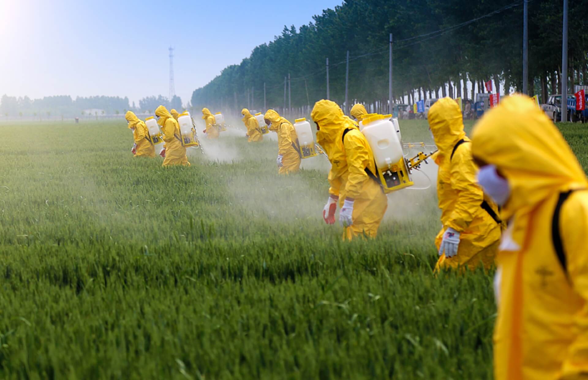 UNIA EUROPEJSKA ZAKAZUJE TOKSYCZNEGO PESTYCYDU FIRMY BAYER