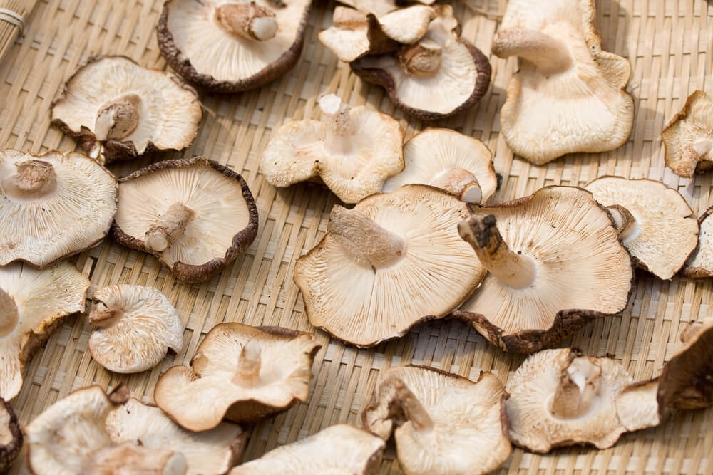 grzyby-shiitake.jpg