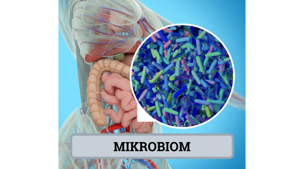 mikrobiom.jpg