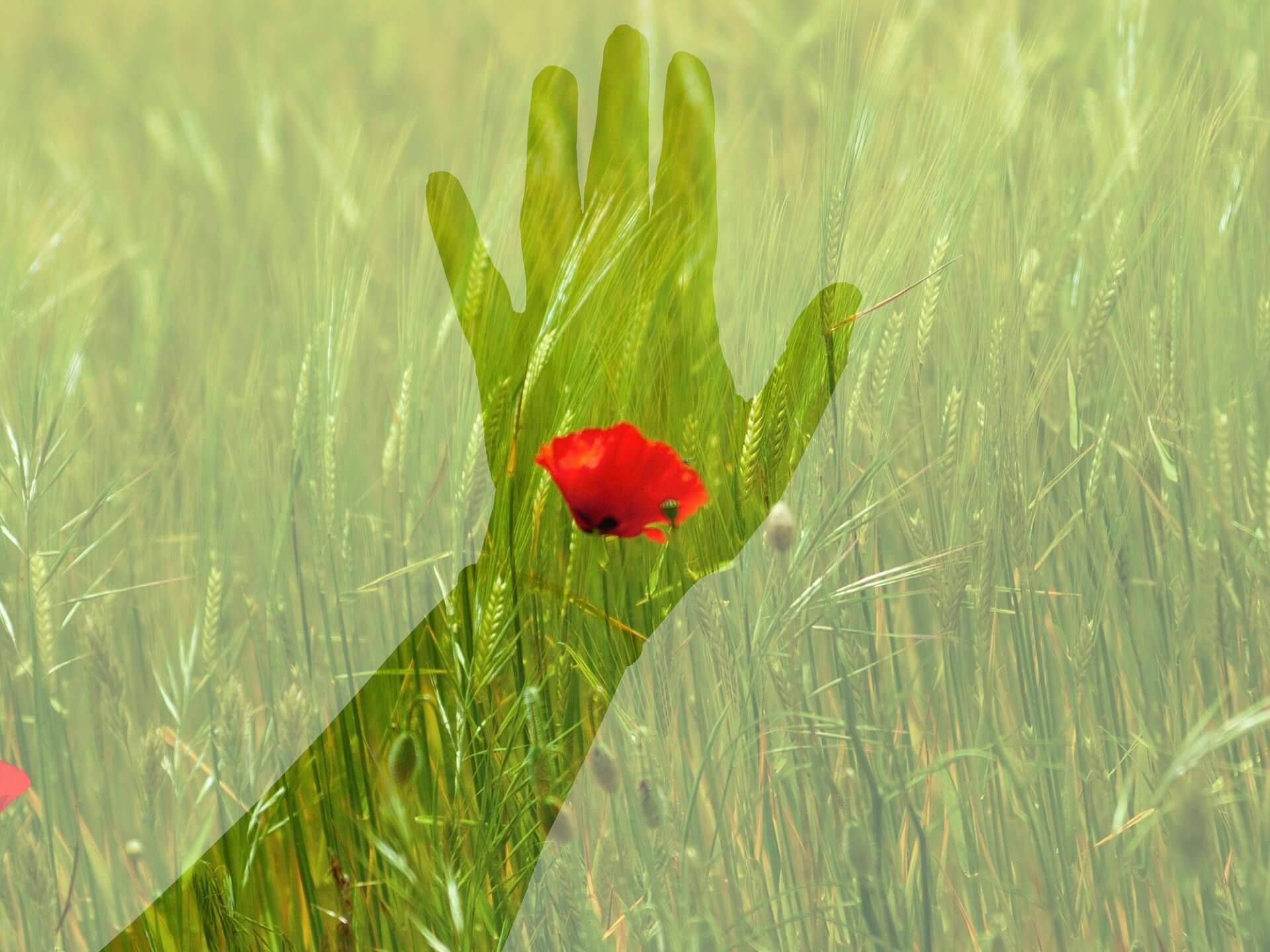 NATURA WYSYŁA CI OSTRZEŻENIA! NIE PRZEGAP SZANSY NA SAMOREALIZACJĘ