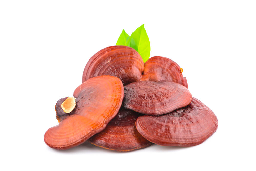 reishi-grzybki.jpg