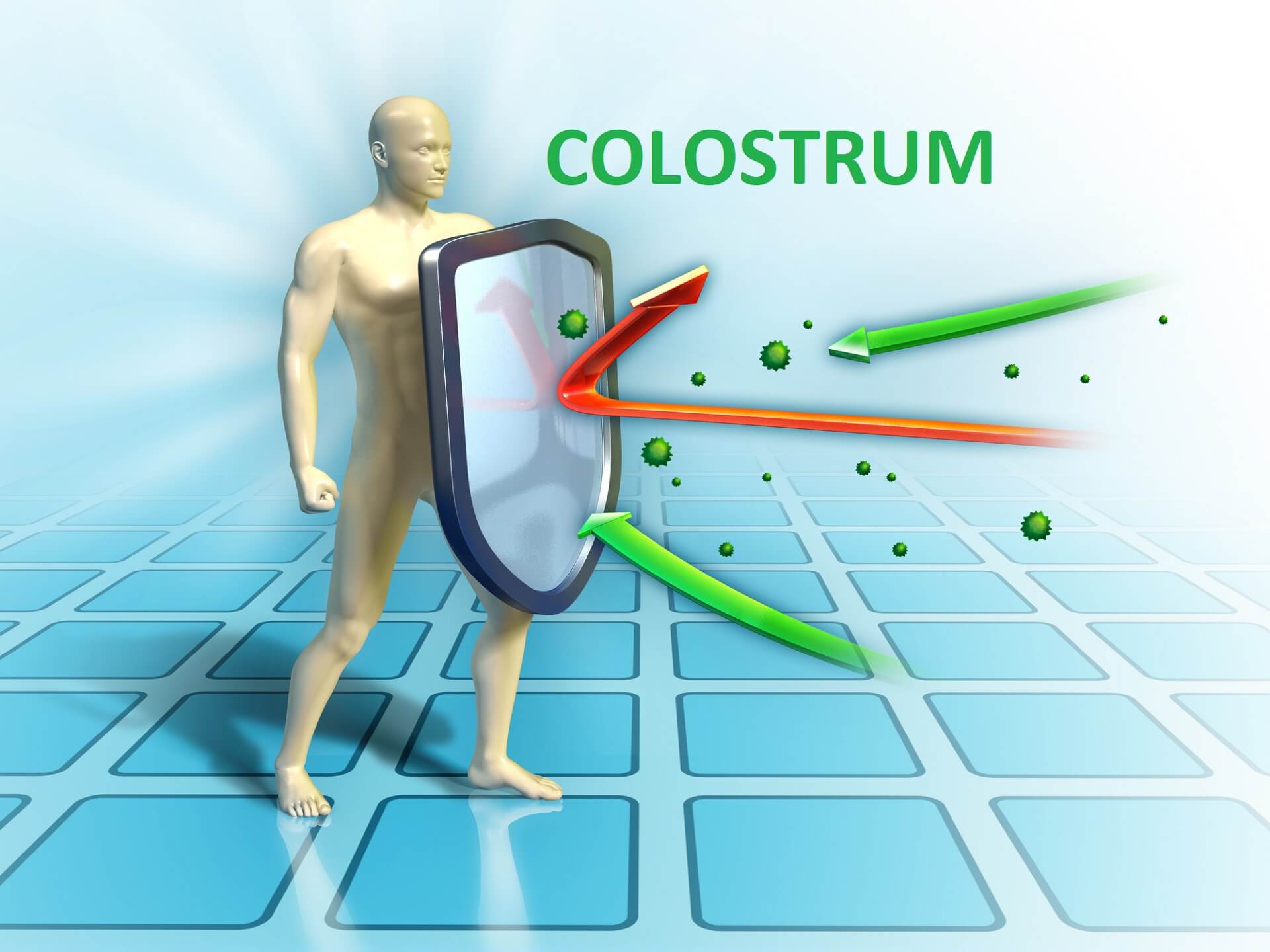 SUPLEMENTACJA COLOSTRUM – CZY WARTO?