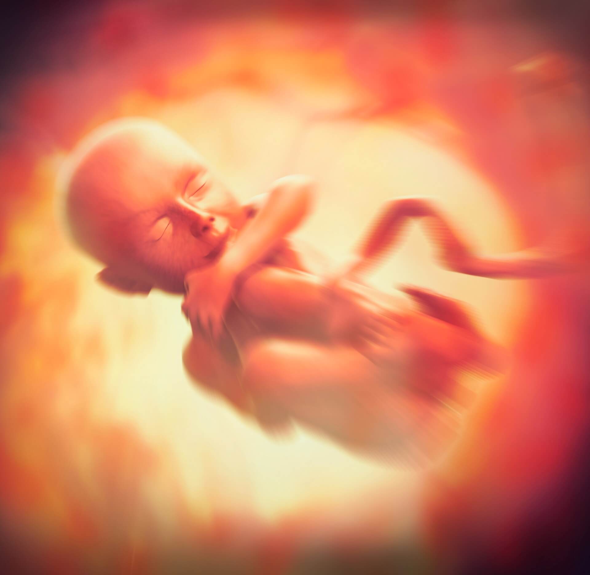 ORGANIZACJA ABORCYJNA PRZYZNAJE SIĘ DO ABORCJI W CELU POZYSKIWANIA „CZĘŚCI NIEMOWLĄT”