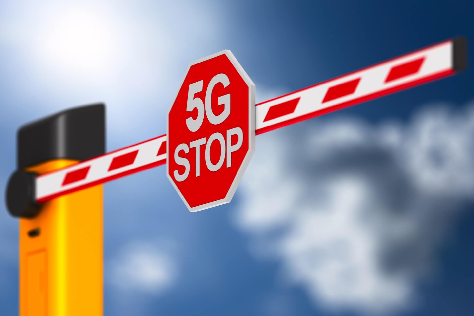 MIELEC CHCE BYĆ MIASTEM WOLNYM OD 5G I WI-FI W SZKOŁACH