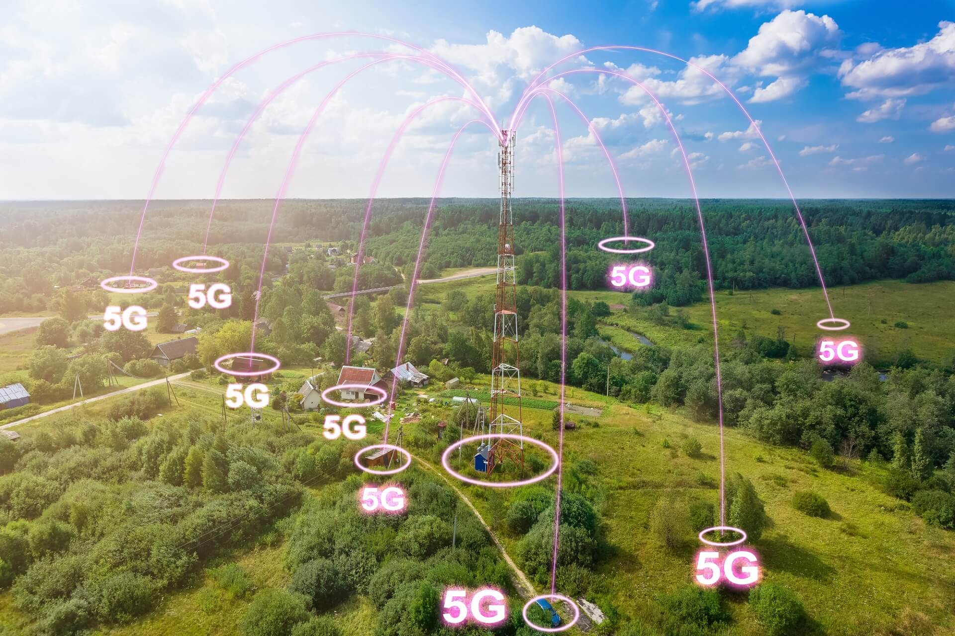 CZEGO NATURA UCZY NAS O PROMIENIOWANIU MIKROFALOWYM?