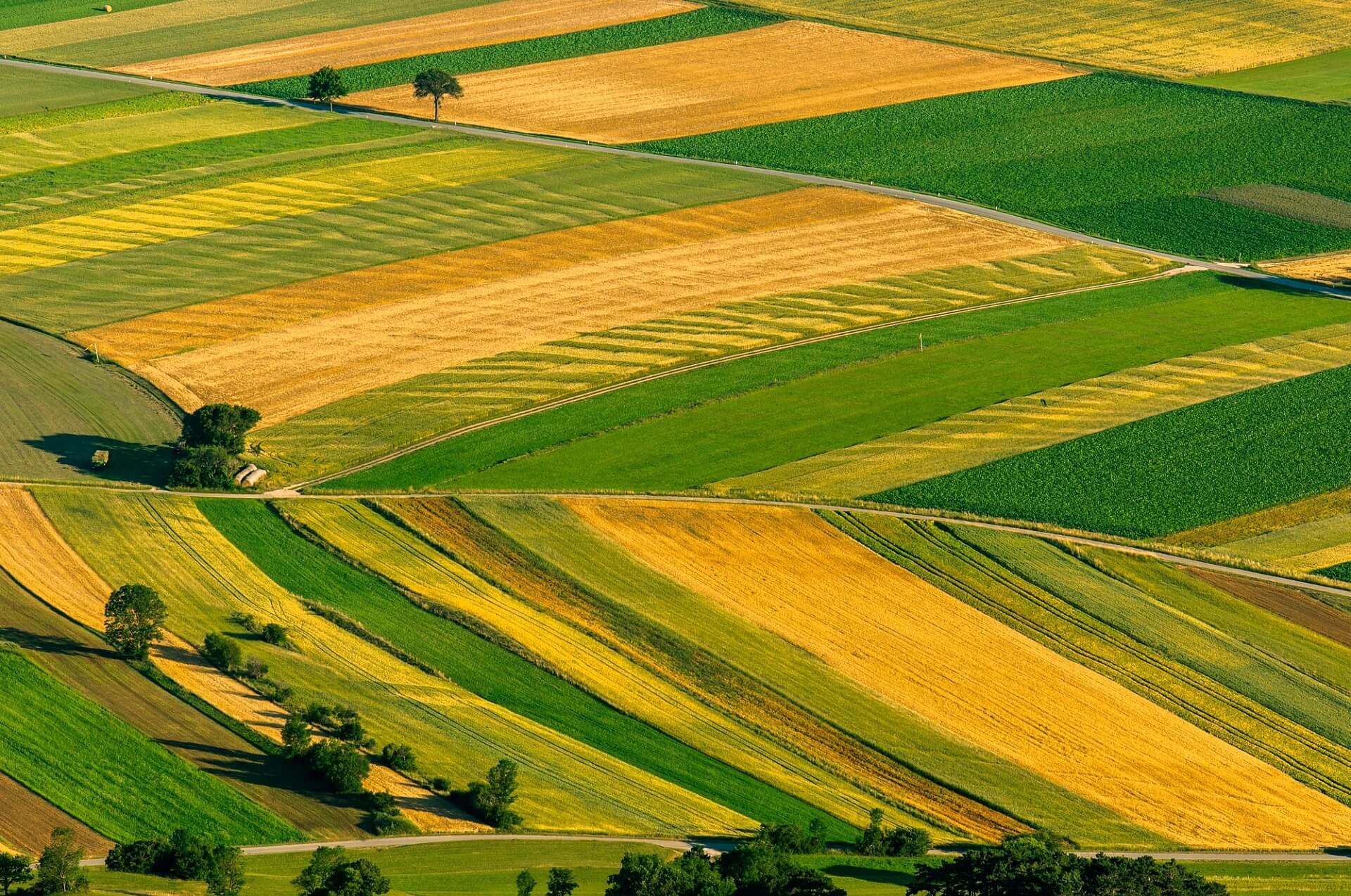 KURIA KUPIŁA 110 HEKTARÓW ZIEMI POD POZNANIEM