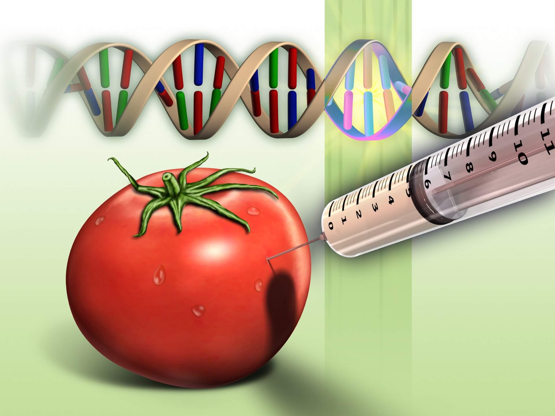ZWYCIĘSTWO WŁOCHÓW NAD REGULACJĄ DOTYCZĄCĄ GMO