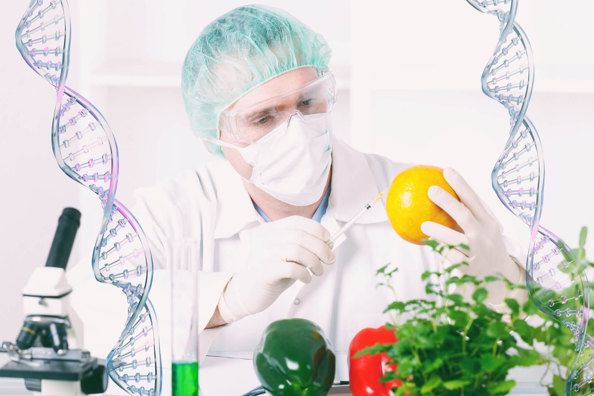 BAYER LOBBUJE ZA GMO W EUROPIE